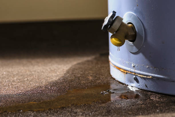 Best Water damage contractors near me  in Lockney, TX