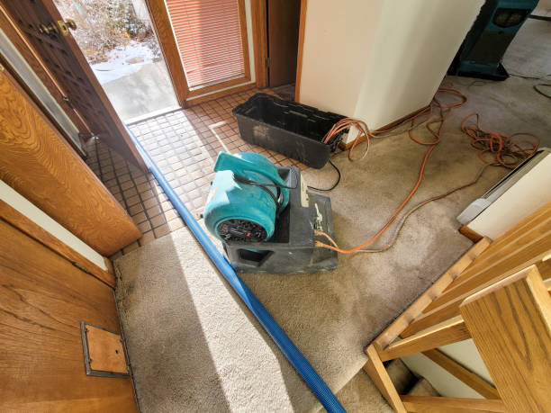 Best 24/7 water damage repair  in Lockney, TX