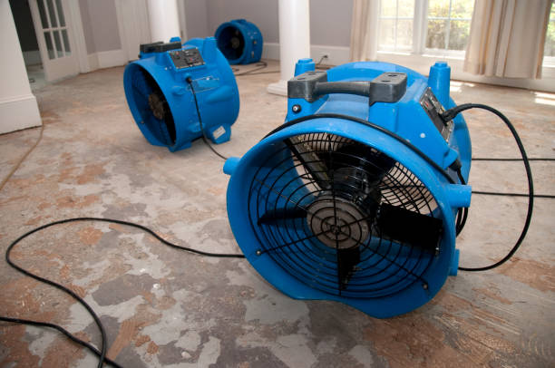 Best Carpet water damage restoration  in Lockney, TX