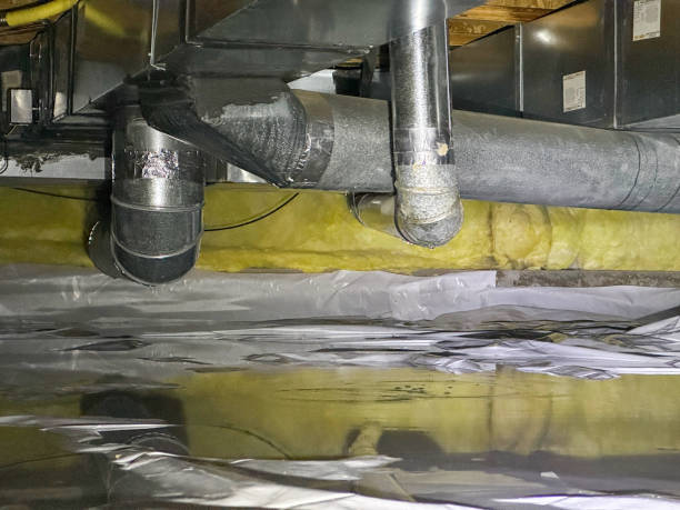 Best Flood damage cleanup  in Lockney, TX