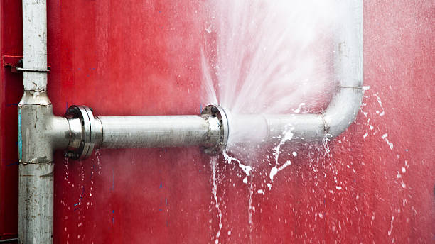 Best Local water damage restoration  in Lockney, TX